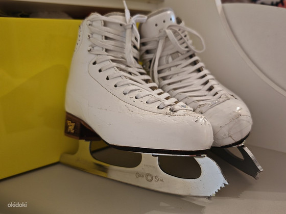 Risport rf3 Pro + gold seal