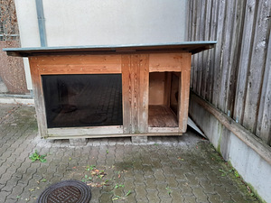 Koerakuut (1 foto / 4)
