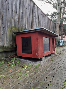 Koerakuut (3 foto / 4)