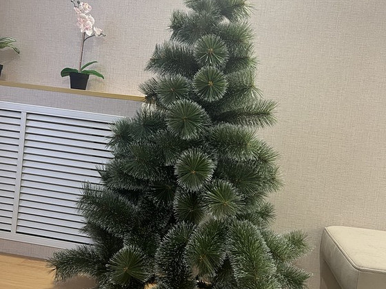 Елка