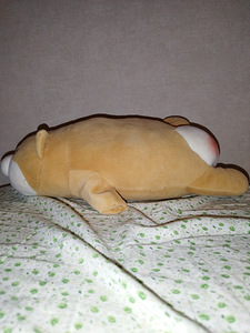 Pehme mänguasi shiba inu jaoks uinakuks (6 foto / 6)
