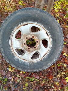 Raudveljed kummiga (1 foto / 3)