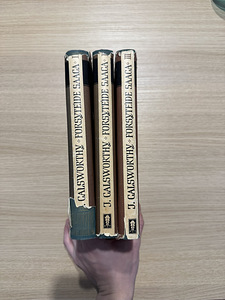 John Galsworthy - Forsyte'ide saaga I-II (3 фото из 3)