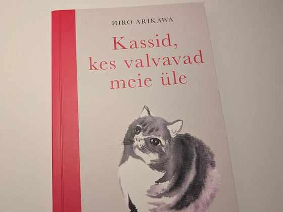 Кошки, которые наблюдают за нами