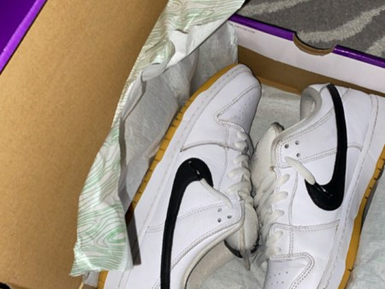 Nike sb dunk low