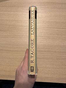 Rabindranath Tagore - Laevahukk (2 foto / 3)