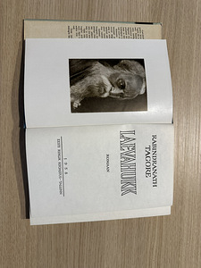 Rabindranath Tagore - Laevahukk (3 foto / 3)