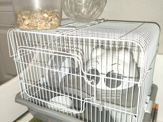 Клетка