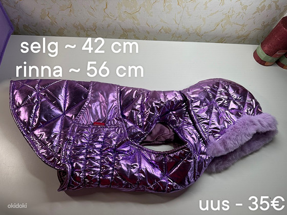 Одежда для собаки среднего размера