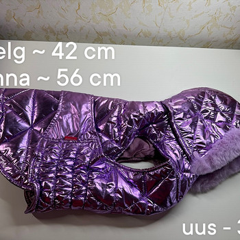 Riided keskmise suuruse koera jaoks