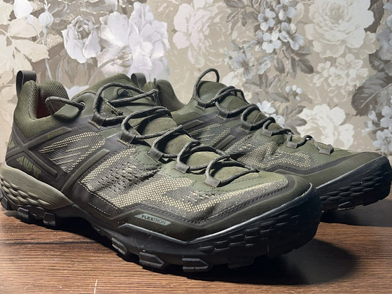 Mammut Ducan Low GTX
