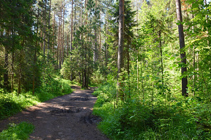 Otsin osalise tööajaga tööd (1 foto / 1)