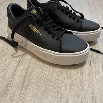 Puma tossud