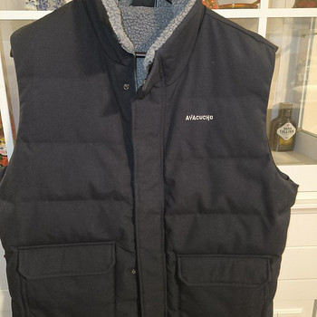 Meeste vest
