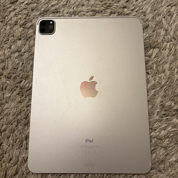 iPad Pro 11 inch 512 gb 3rd gen