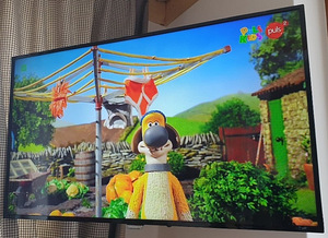 Philips Professional Smart TV teler telekas televiisor (1 фото из 2)