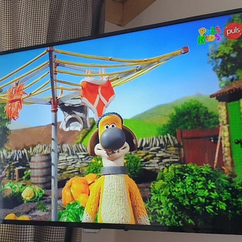 Philips Professional Smart TV teler telekas televiisor