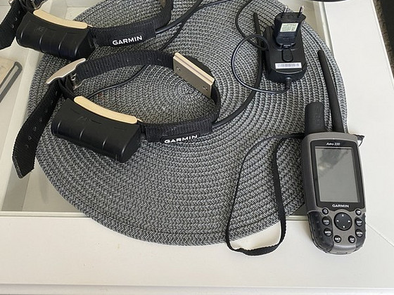 Garmin astra 220