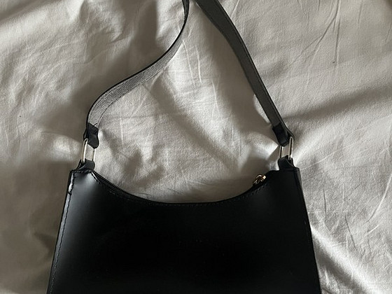 Shein kott