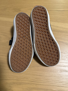 Vans tossud 31 (3 foto / 3)
