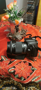 Peegel kamera Canon 550D (9 фото из 10)