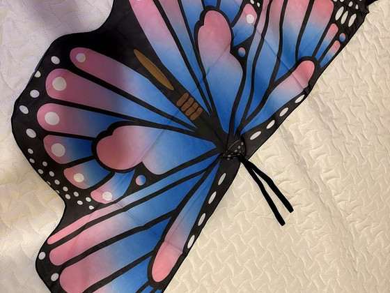 Крылья бабочки