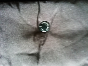 Ermenegildo Zegna L. (8 foto / 8)