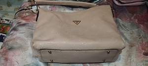 Kott guess (4 foto / 4)