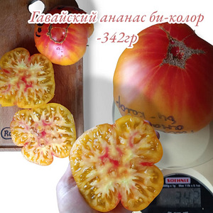 Семена томатов (2 фото из 10)