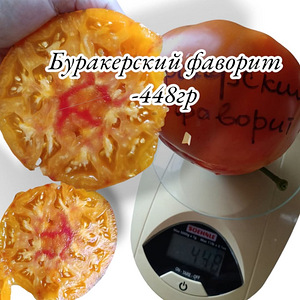 Семена томатов (4 фото из 10)