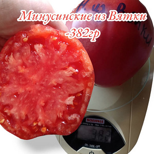 Семена томатов (7 фото из 10)