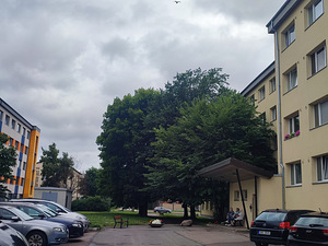 Sõpruse pst 3, Kristiine, Tallinn, Harjumaa (12 foto / 14)