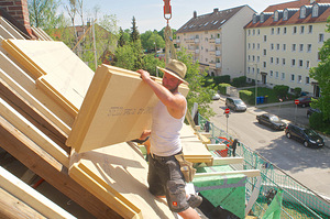 Tuletõkkeplaat Steico (2 foto / 3)