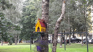 Linnumajad ja oravatoidumajad (9 foto / 10)