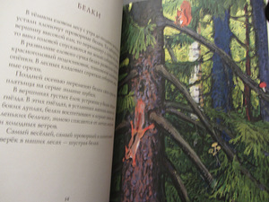 Sügis metsas, Suvi metsas, Talv metsas, I. Sokolov-Mikitov no (3 foto / 5)