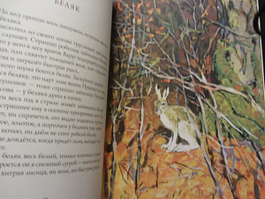 Sügis metsas, Suvi metsas, Talv metsas, I. Sokolov-Mikitov no (4 foto / 5)