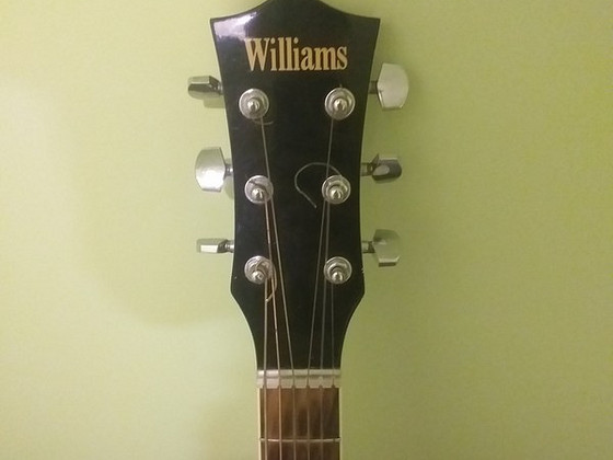 Elektroakustika Williams