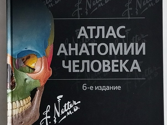 Атлас анатомии человека Фрэнка Неттера