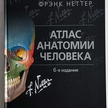 Атлас анатомии человека Фрэнка Неттера