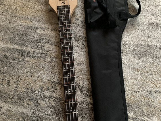 Traveler guitar