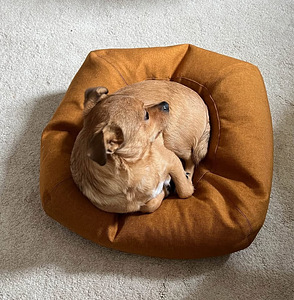 Dog bed-pillow Nufnuf (1 foto / 4)