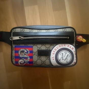 Gucci kott!