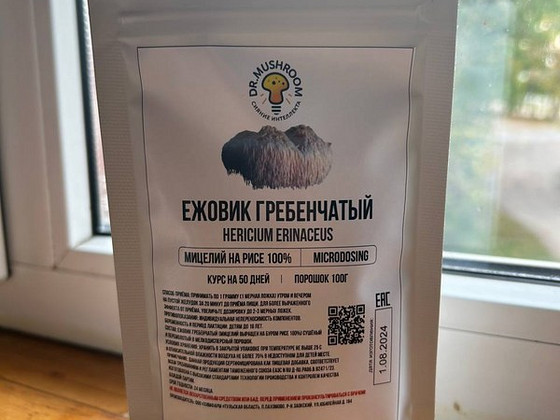 Ежовик Гребенчатый(На Буром Рисе)