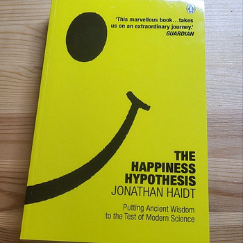 Raamat The Happiness Hypothesis (eng)