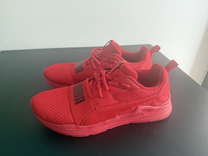 Кроссовки для мальчиков PUMA, размер 39, стелька 25 см, носились только в зале (1 фото из 3)