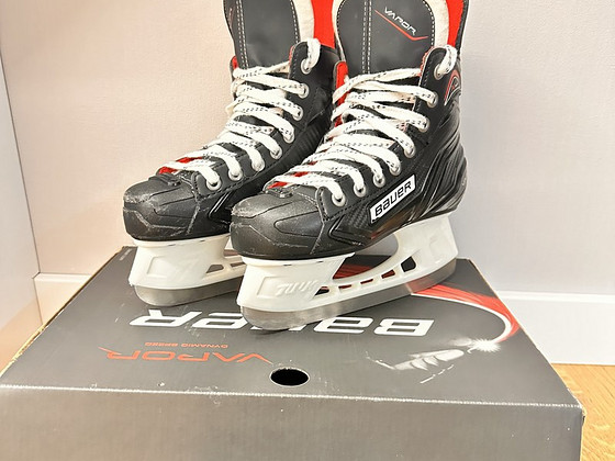 Bauer 33.5