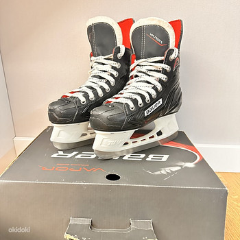 Bauer 33.5