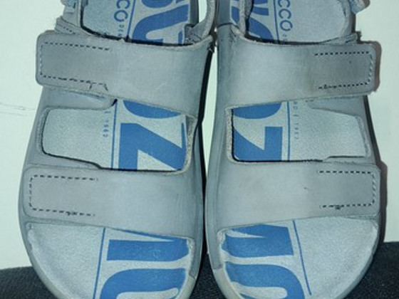 ECCO 27