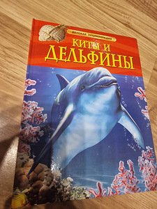 Книги (1 фото из 3)
