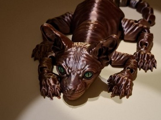 Кот СФИНКС/Cat "SPHINX "